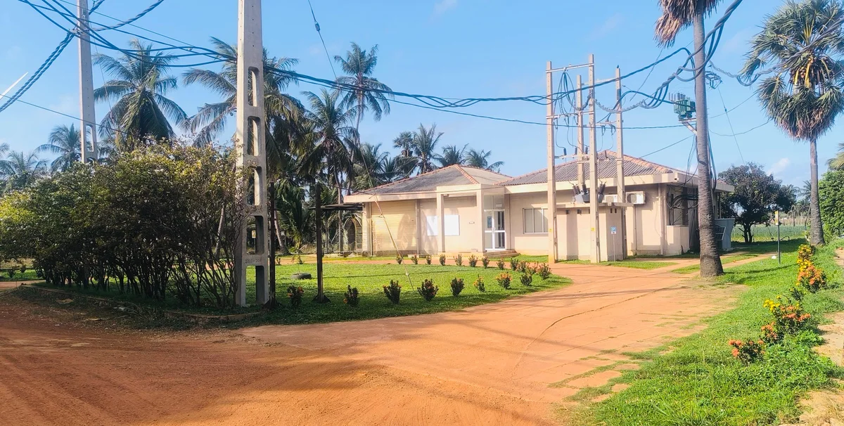 Existing site building and electrical infrastructure among coconut palms in Sri Lanka.