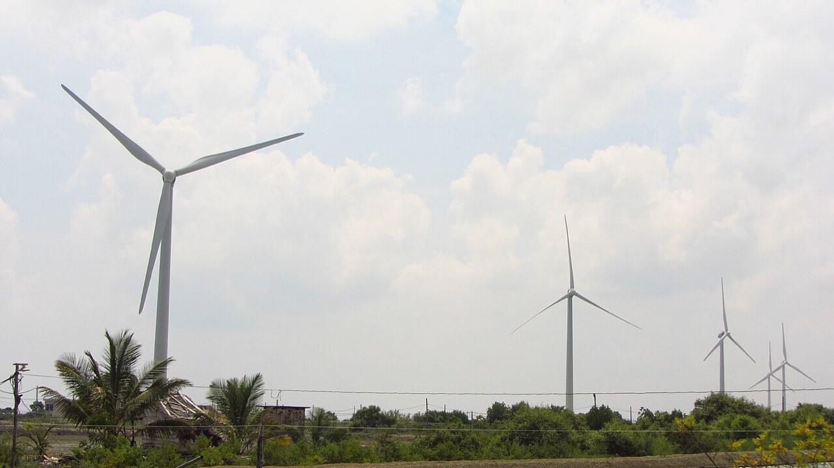 Wind turbines above coastal scrub and palms on Sri Lanka's north-west coast.